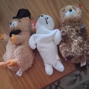 Ty Plush Toy Trio - 2 Punxsutawne Phil Beanie Babies & 1 Seamore Seal